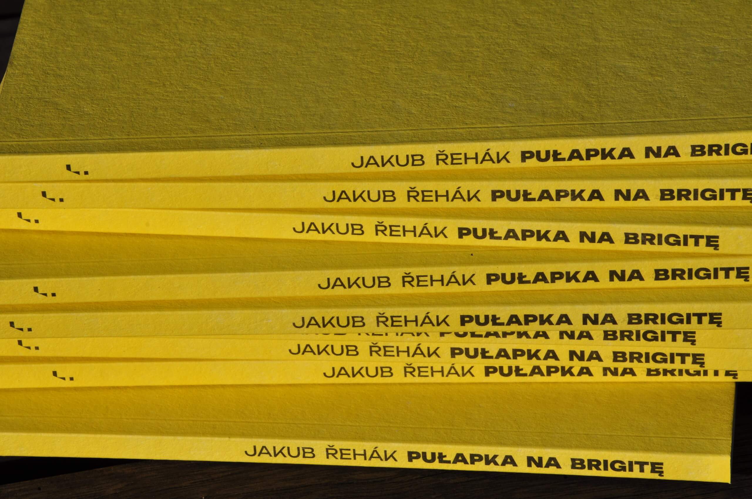 Jakub Řehák, Puałapka na Brigitę