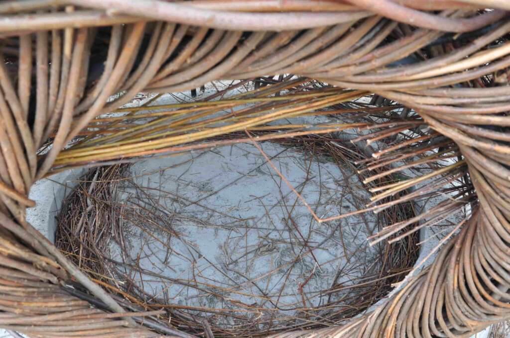 proza współczesna, wydawnictwo, pismo literackie