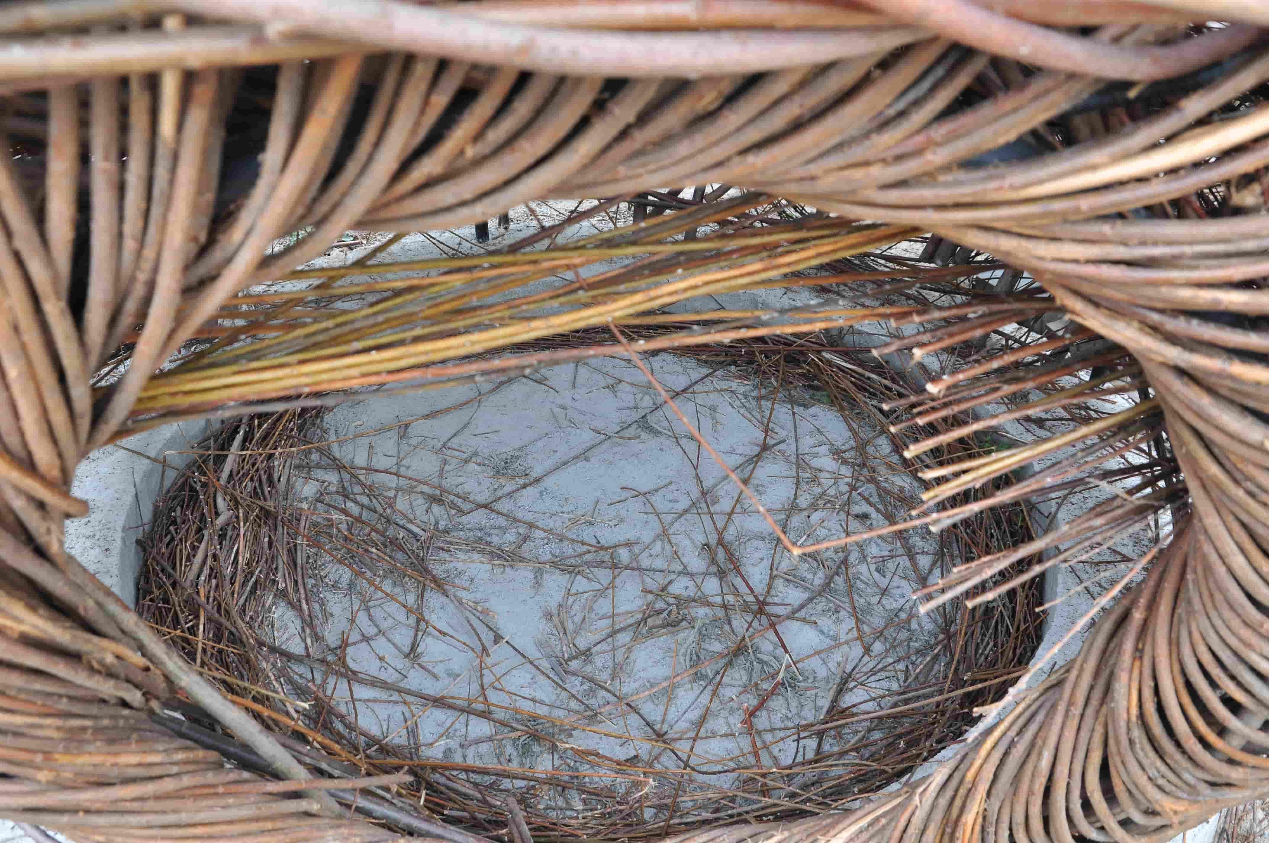 proza współczesna, wydawnictwo, pismo literackie