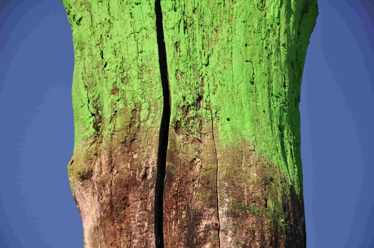 Rafał Gawron  Wiersze