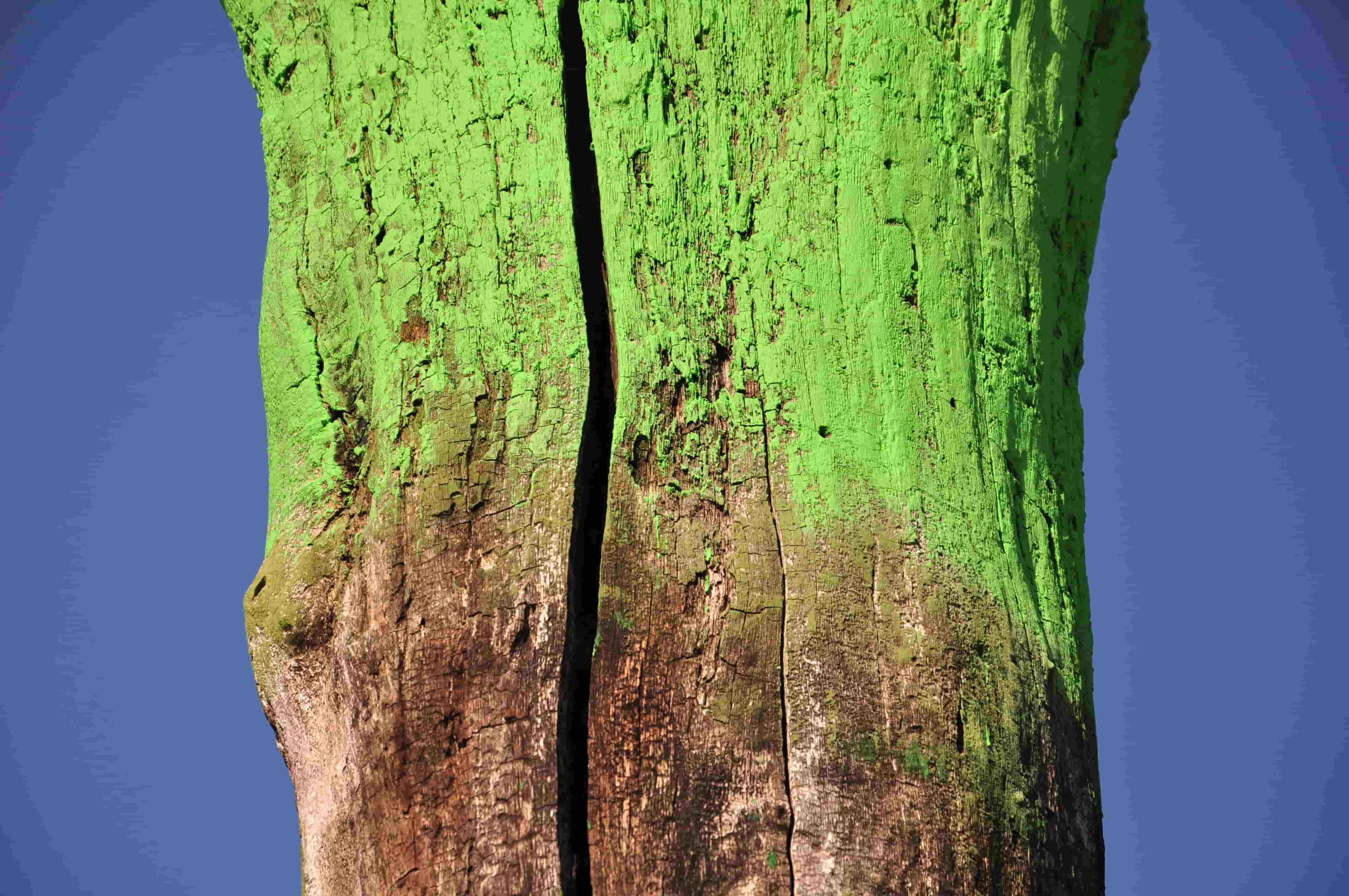 Poezja współczesna. Pismo literackie i wydawnictwo.