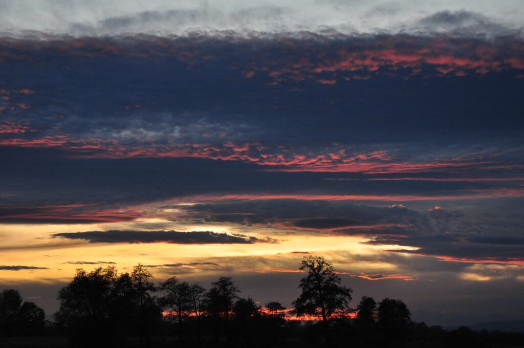 Poezja współczesna. Pismo literackie i wydawnictwo.