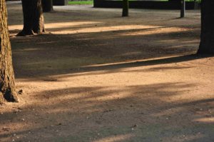 Poezja współczesna. Pismo literackie i wydawnictwo.