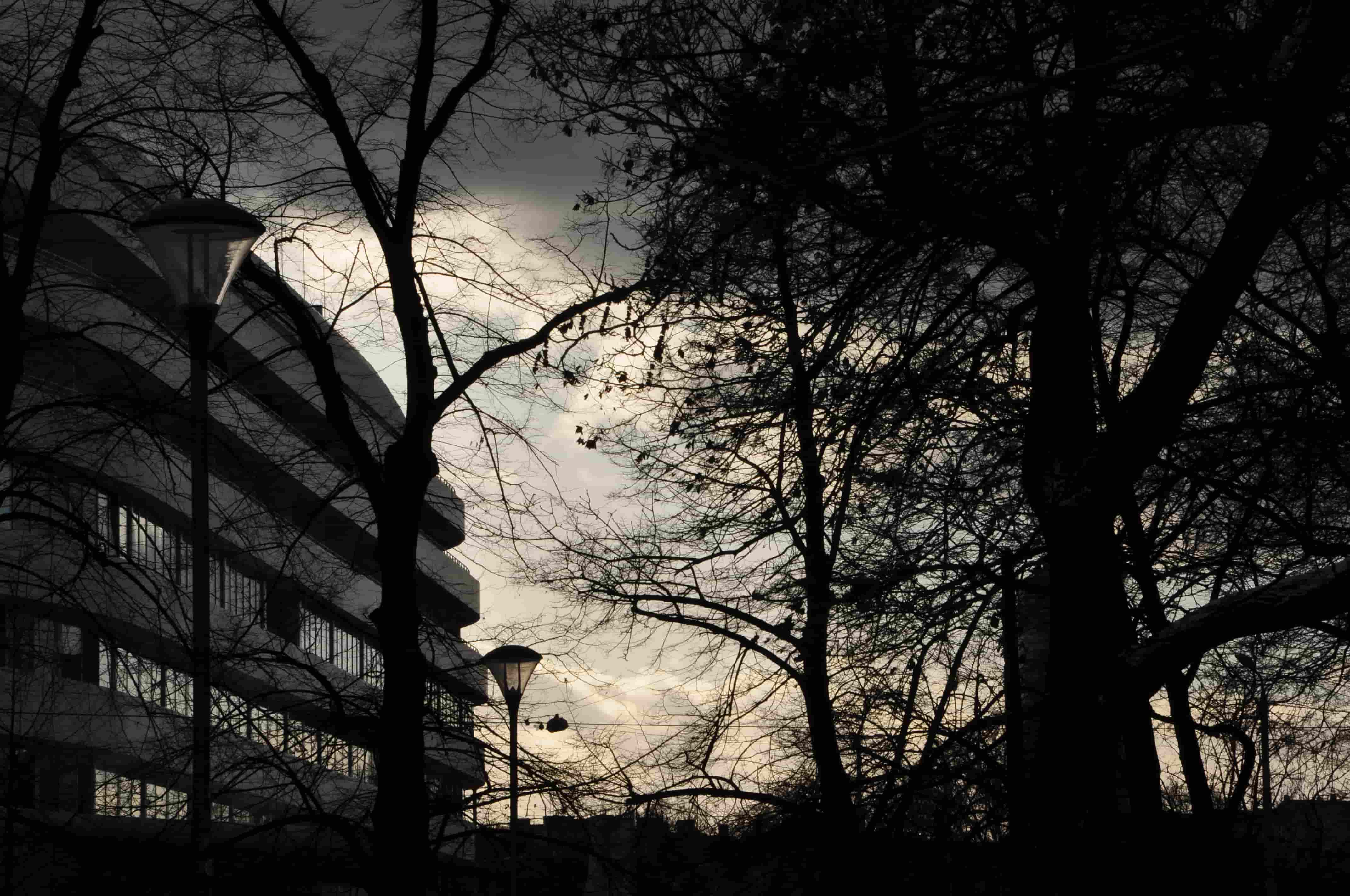 Poezja współczesna. Pismo literackie i wydawnictwo.