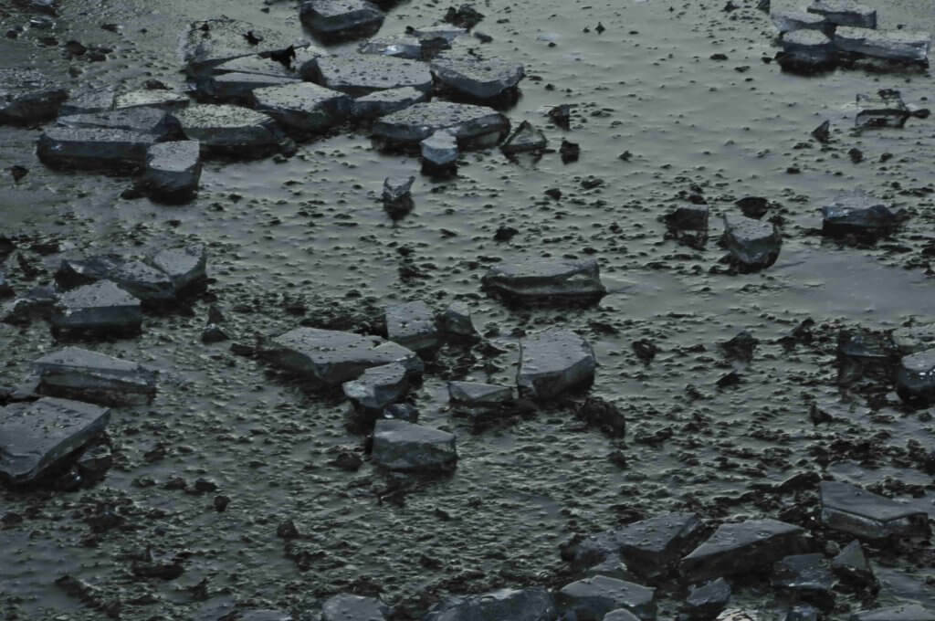 proza współczesna, wydawnictwo, pismo literackie