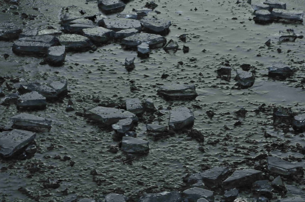 Ganguski (fragment)  Michał Korda