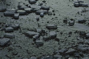 proza współczesna, wydawnictwo, pismo literackie