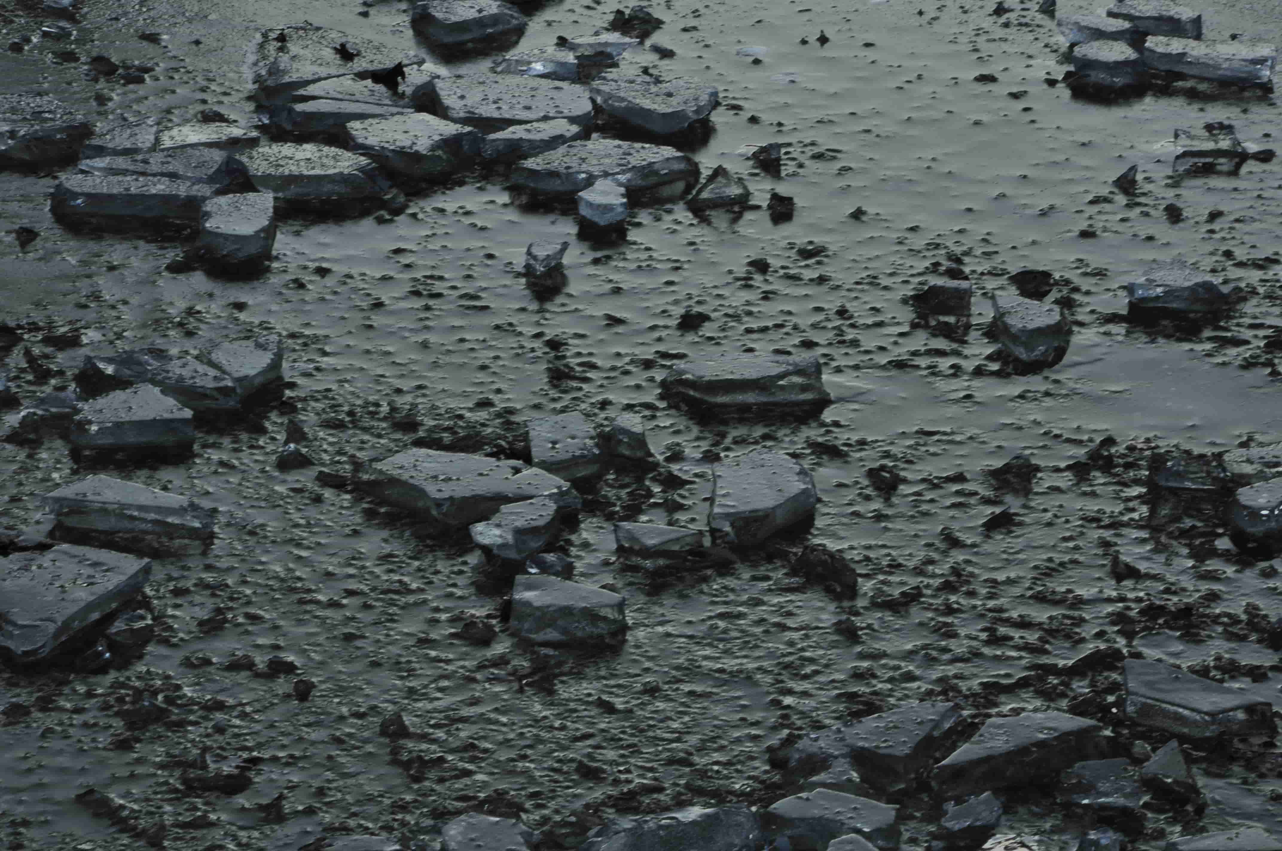 proza współczesna, wydawnictwo, pismo literackie