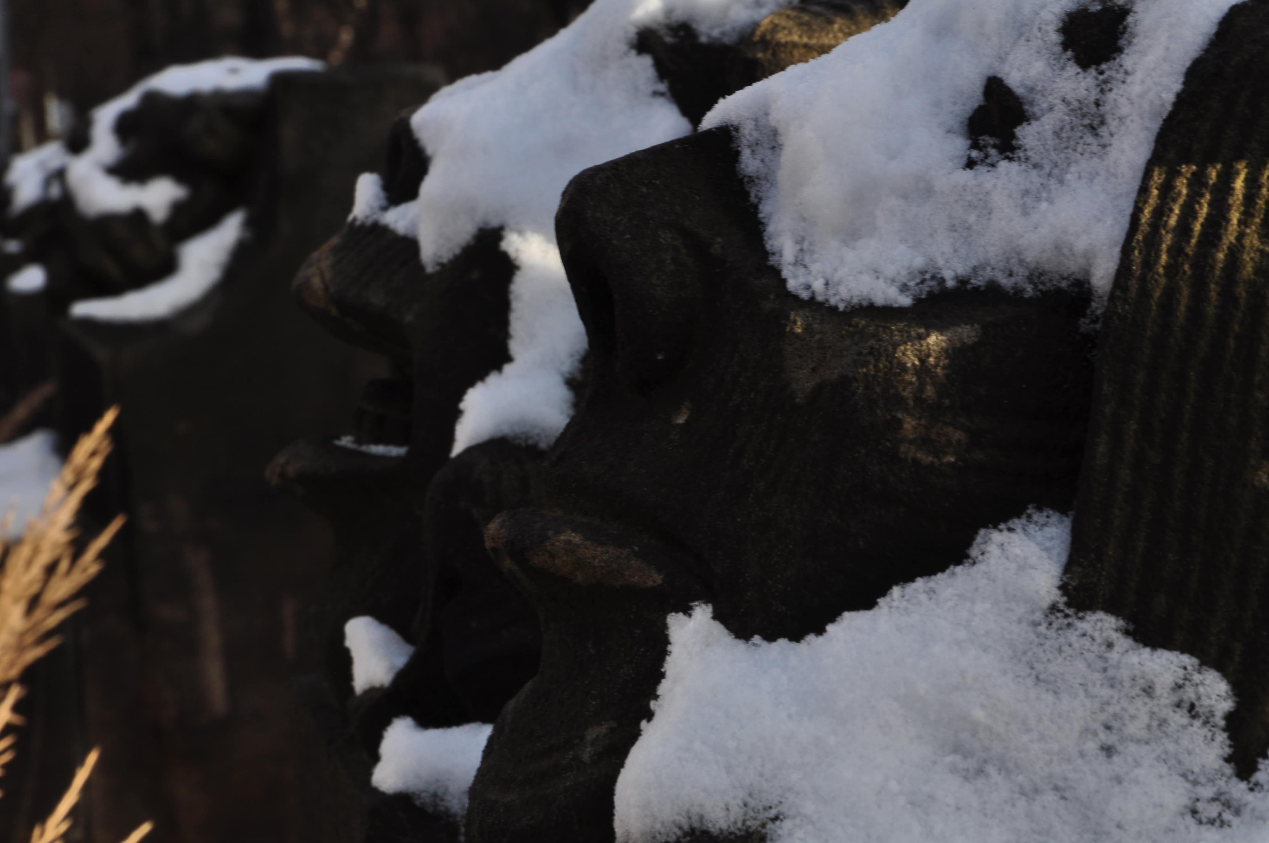 Poezja współczesna. Pismo literackie i wydawnictwo.