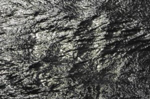 Poezja współczesna. Pismo literackie i wydawnictwo.