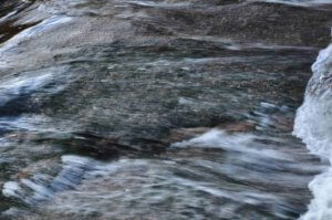 proza współczesna, wydawnictwo, pismo literackie