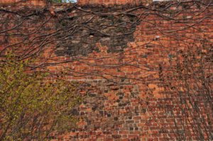 Poezja współczesna. Pismo literackie i wydawnictwo.