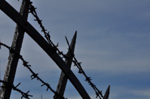 Poezja współczesna. Pismo literackie i wydawnictwo.
