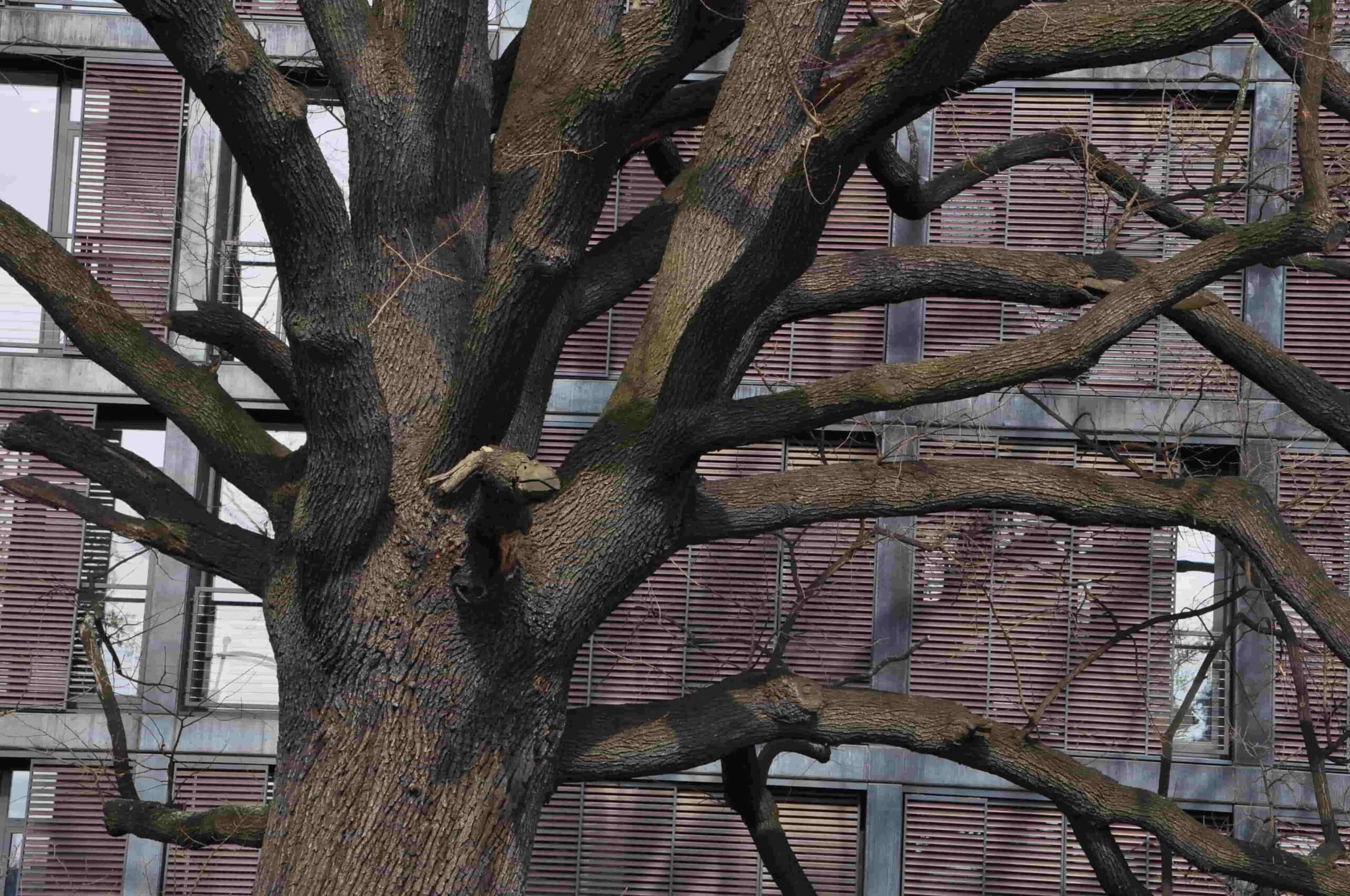 Poezja współczesna. Pismo literackie i wydawnictwo.