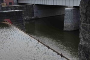 Poezja współczesna. Pismo literackie i wydawnictwo.