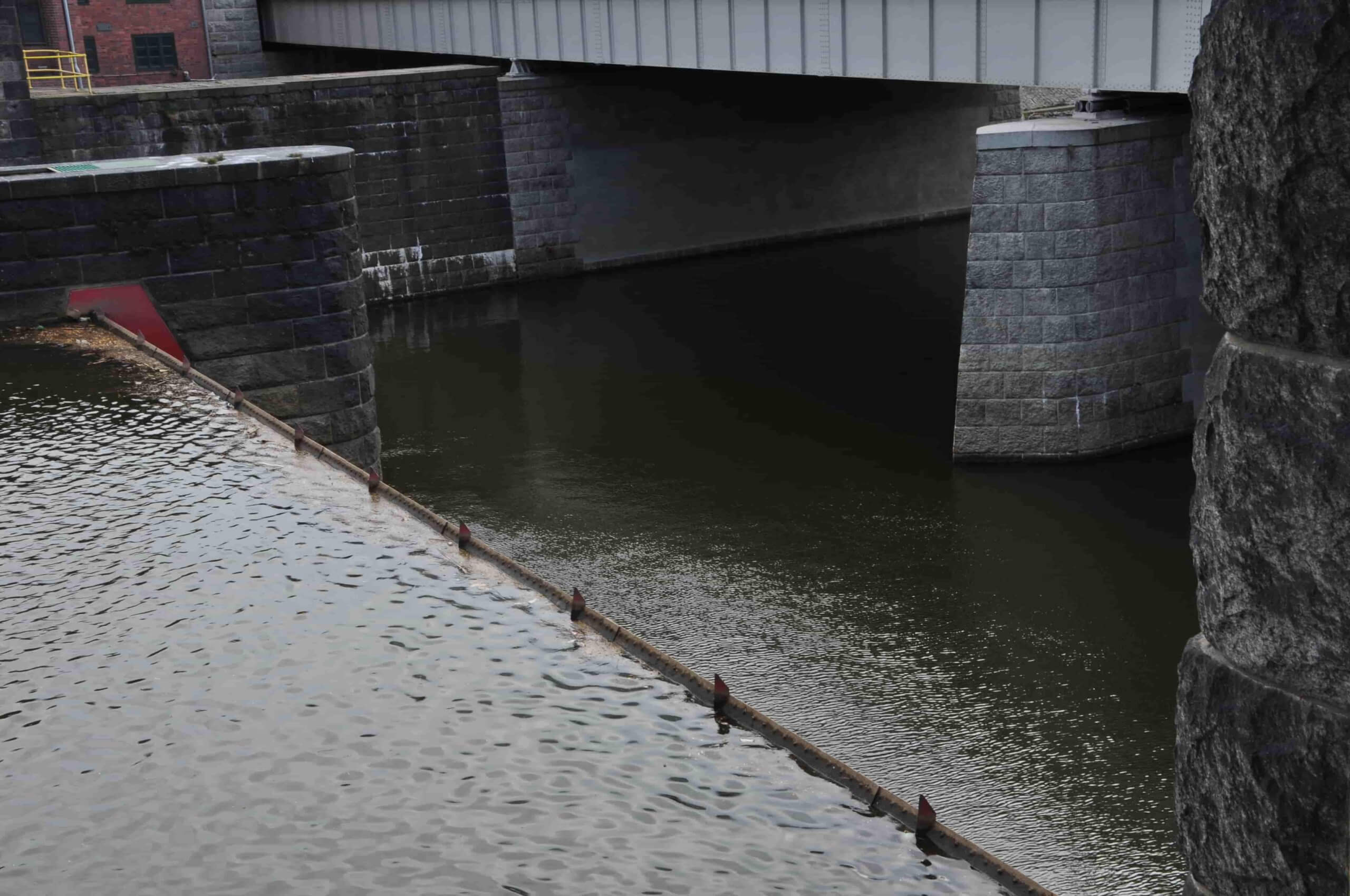 Poezja współczesna. Pismo literackie i wydawnictwo.