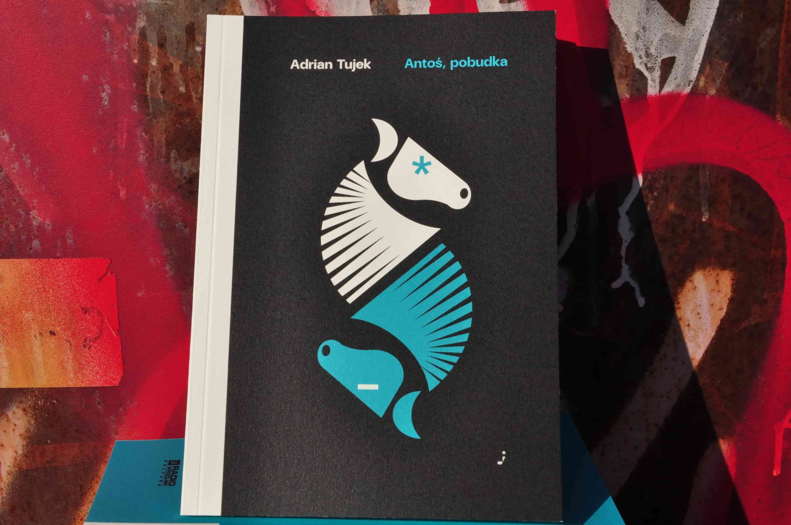 Antoś, pobudka. Adrian Tujek