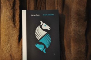 Antoś, pobudka. Adrian Tujek