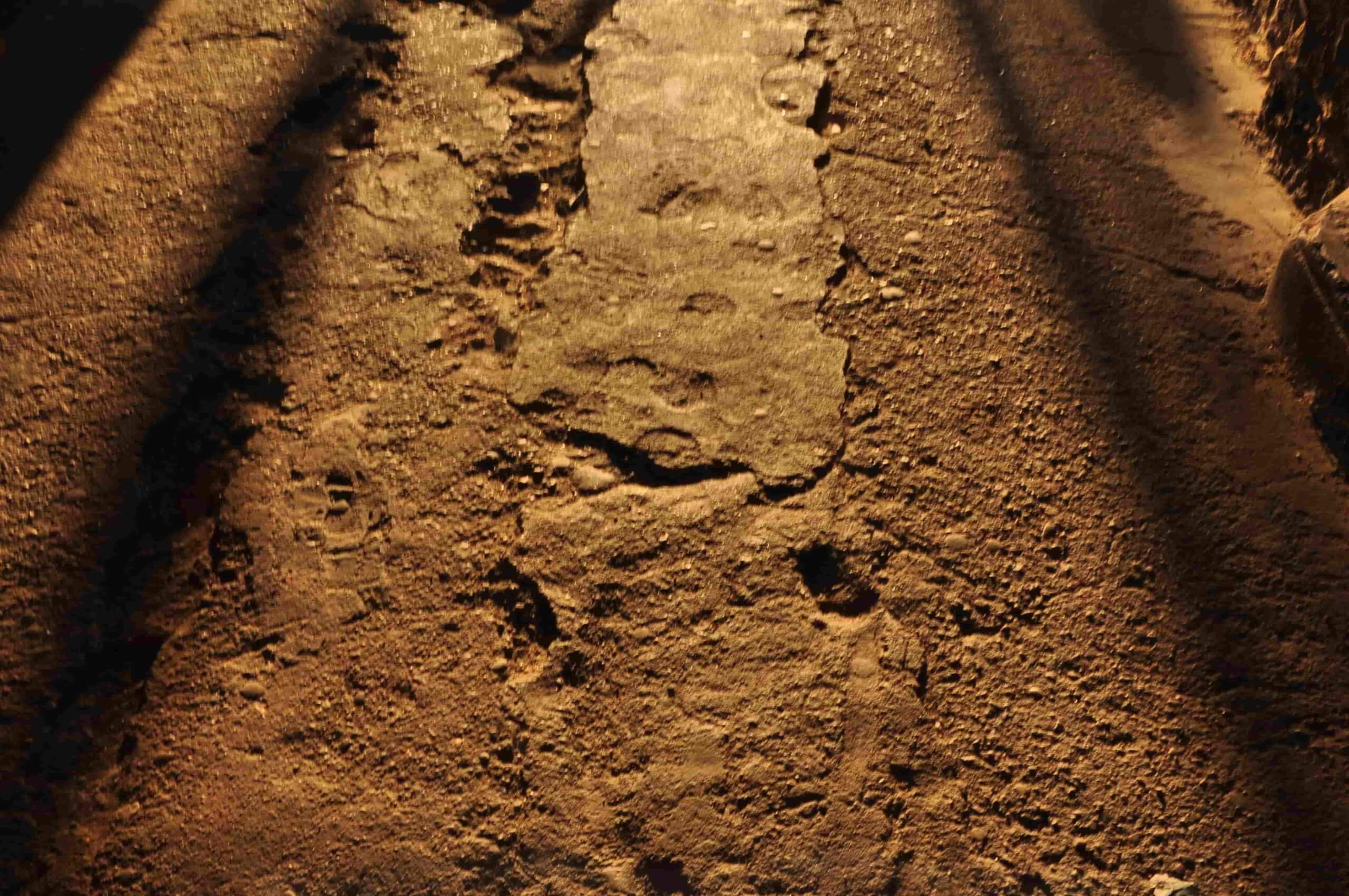 Proza współczesna. Pismo literackie i wydawnictwo.