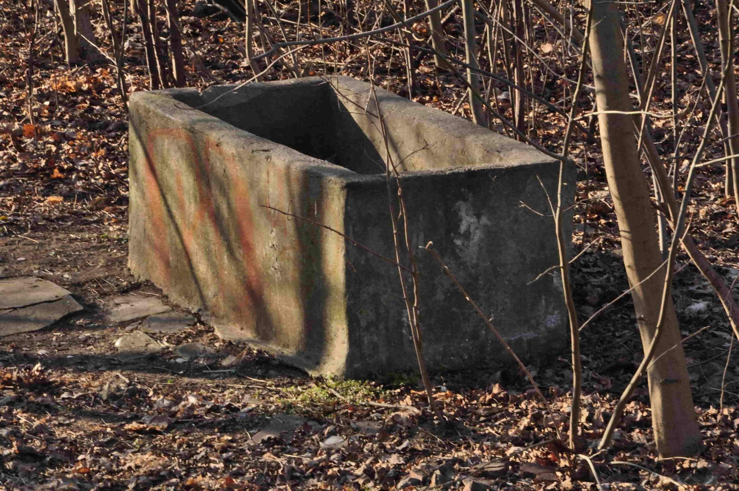 Poezja współczesna. Pismo literackie i wydawnictwo.