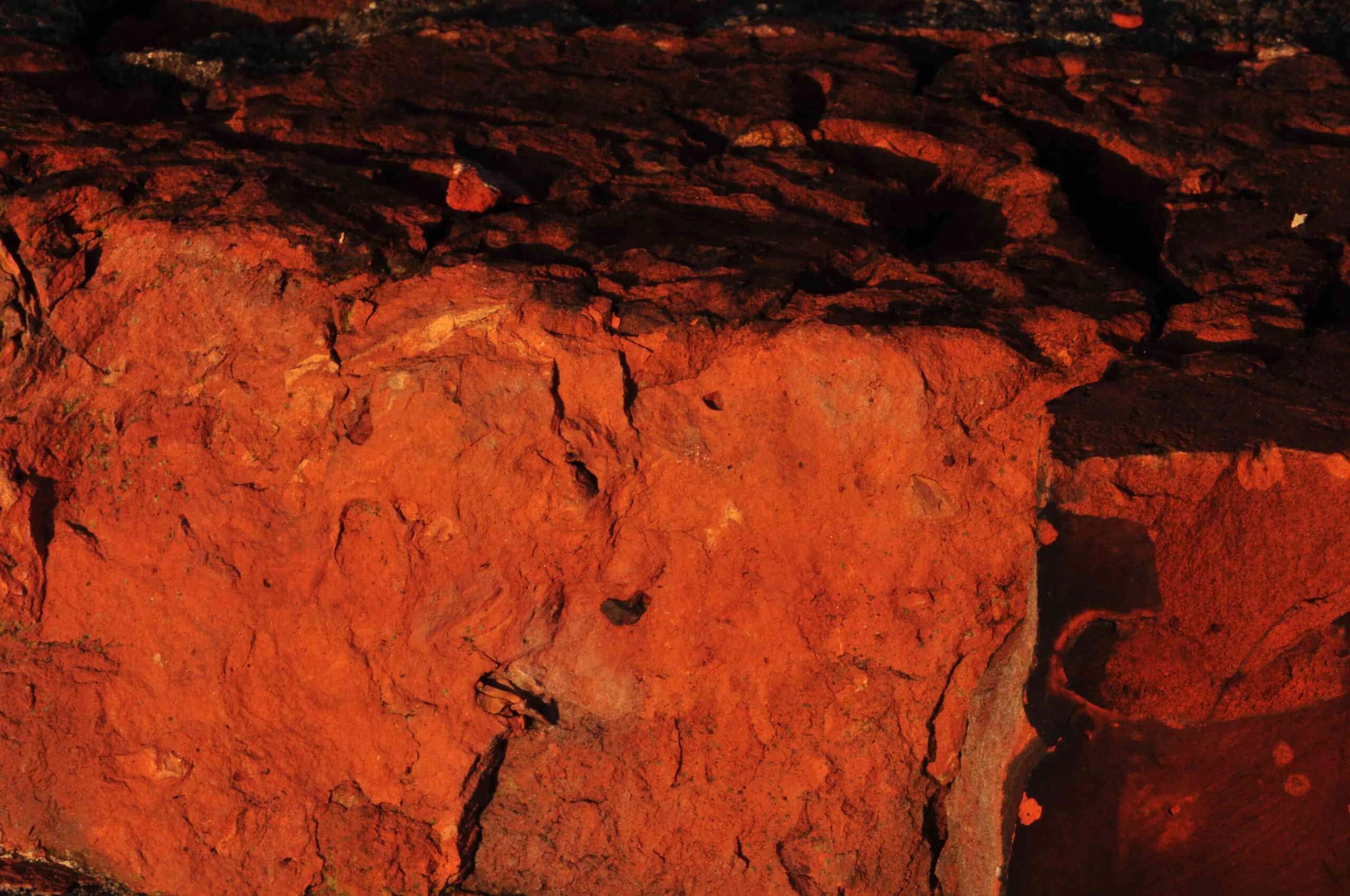 proza współczesna, wydawnictwo, pismo literackie