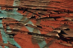 Poezja współczesna. Pismo literackie i wydawnictwo.