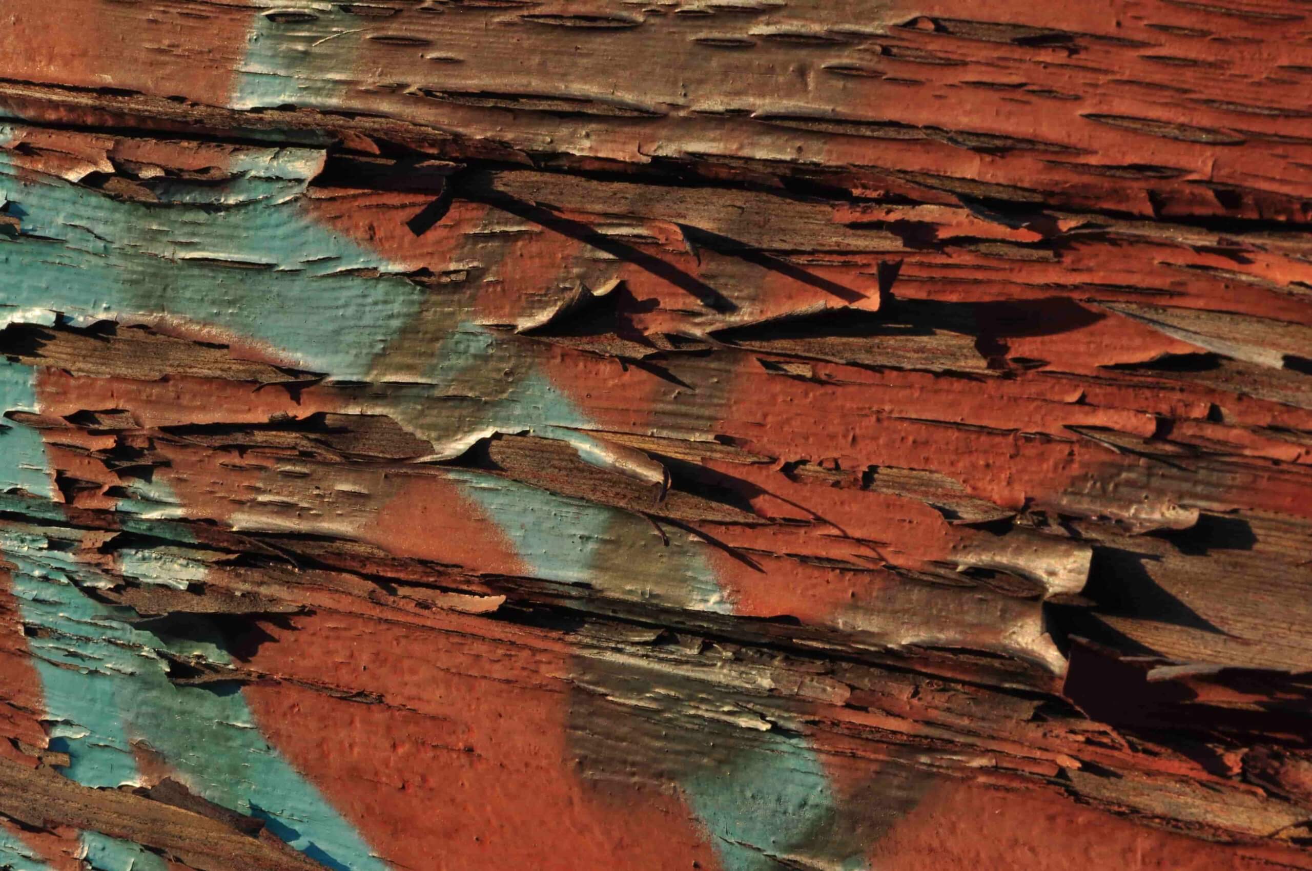 Poezja współczesna. Pismo literackie i wydawnictwo.