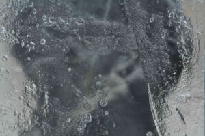 Poezja współczesna. Pismo literackie i wydawnictwo.