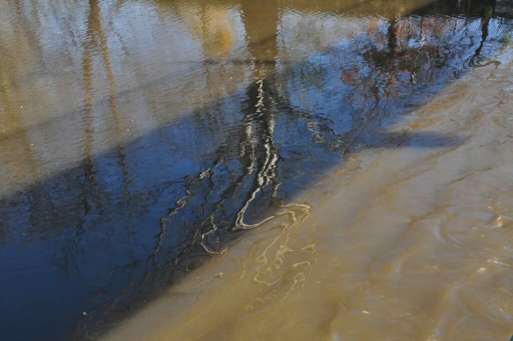 Poezja współczesna. Pismo literackie i wydawnictwo.