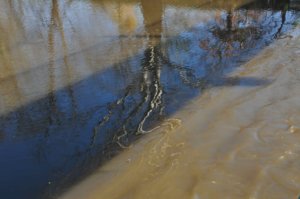 Poezja współczesna. Pismo literackie i wydawnictwo.
