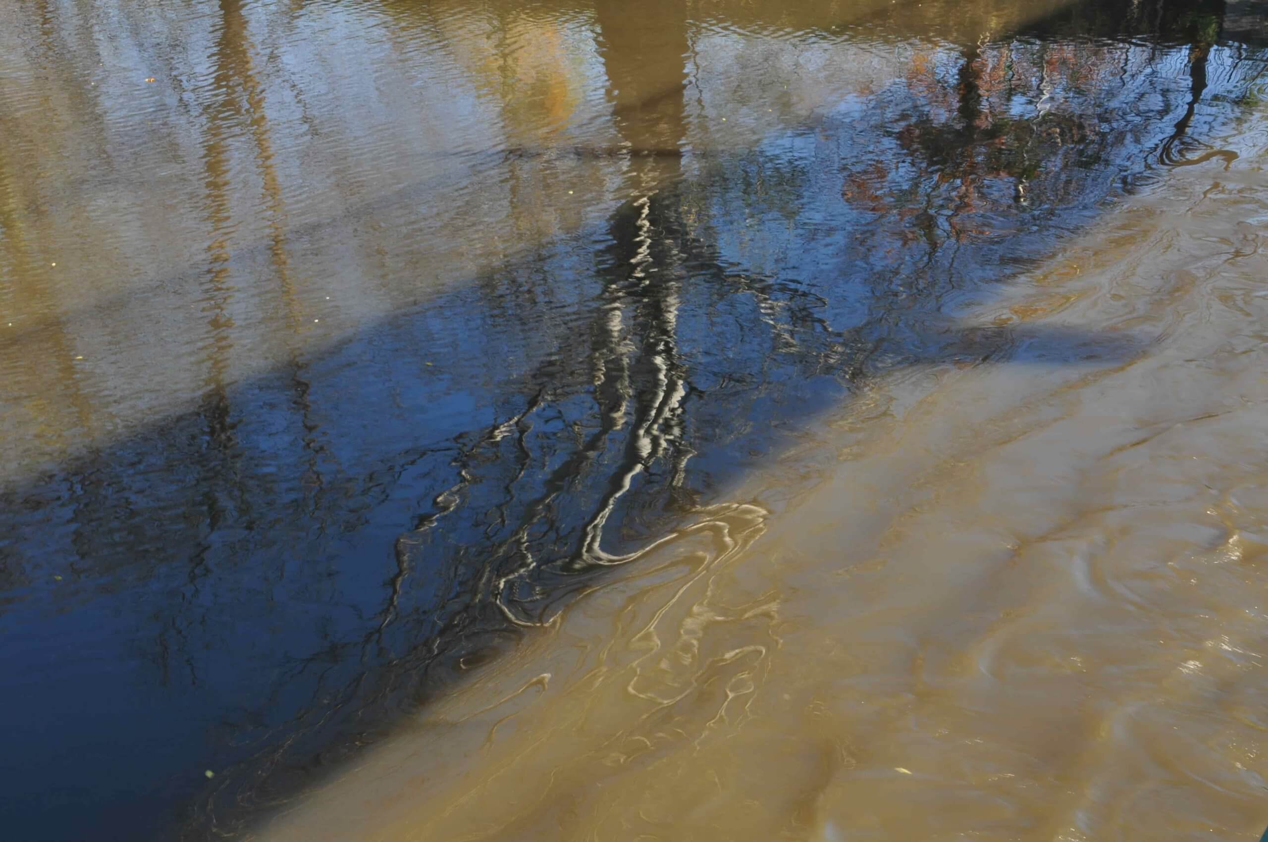 Poezja współczesna. Pismo literackie i wydawnictwo.