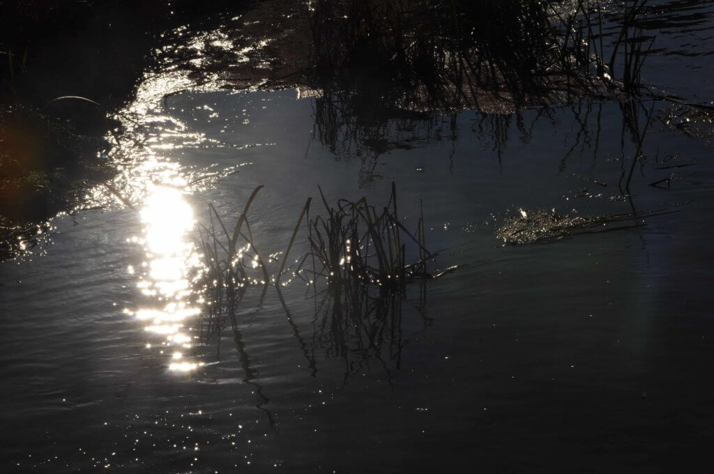 Poezja współczesna. Pismo literackie i wydawnictwo.
