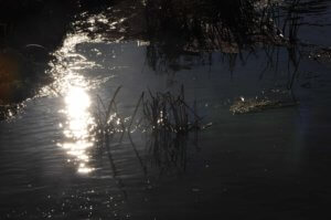 Poezja współczesna. Pismo literackie i wydawnictwo.