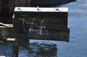 Poezja współczesna. Pismo literackie i wydawnictwo.