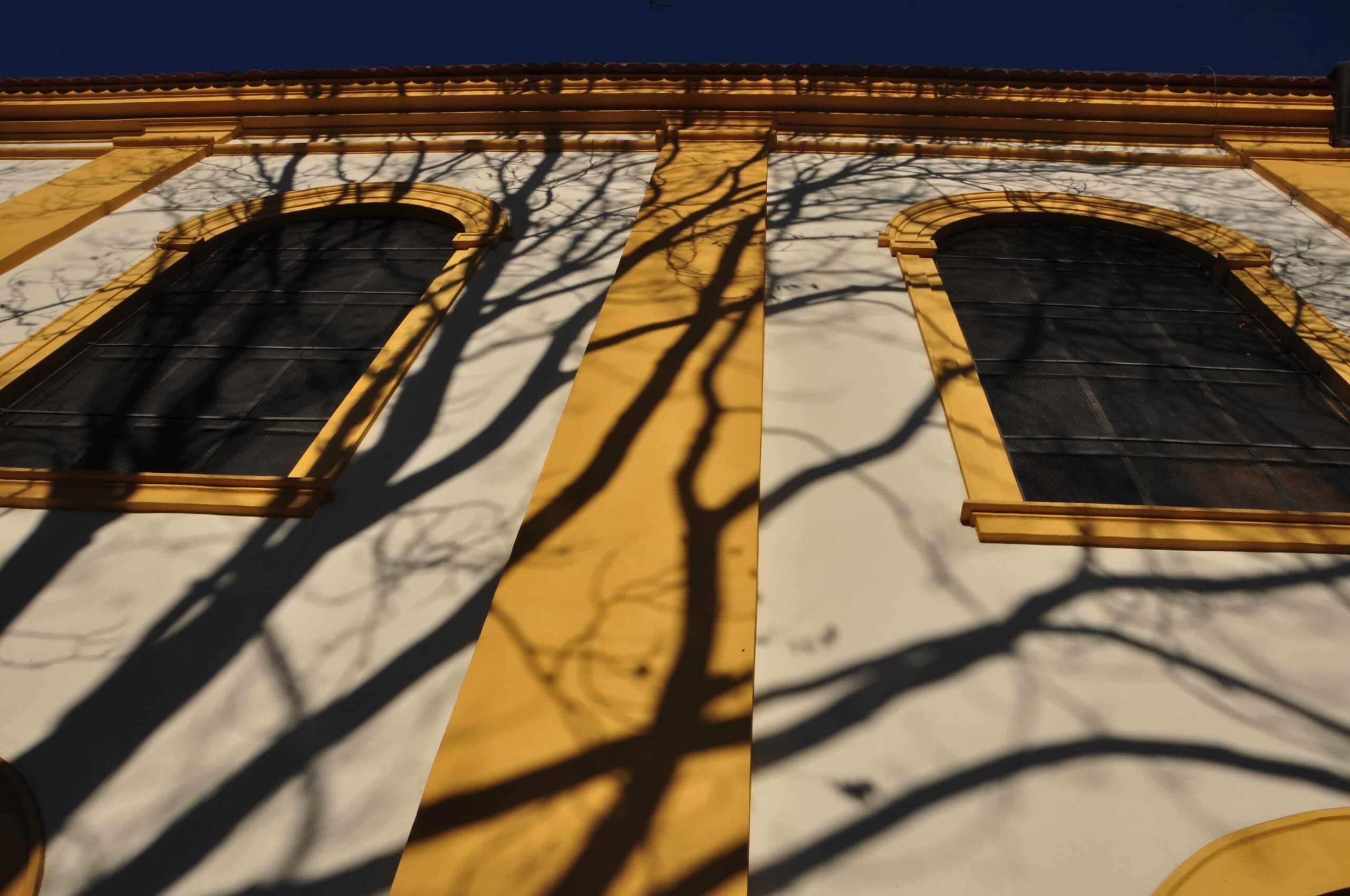 Film polski. Wojciech Smarzowski.