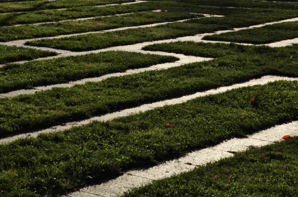 Poezja współczesna. Pismo literackie i wydawnictwo.