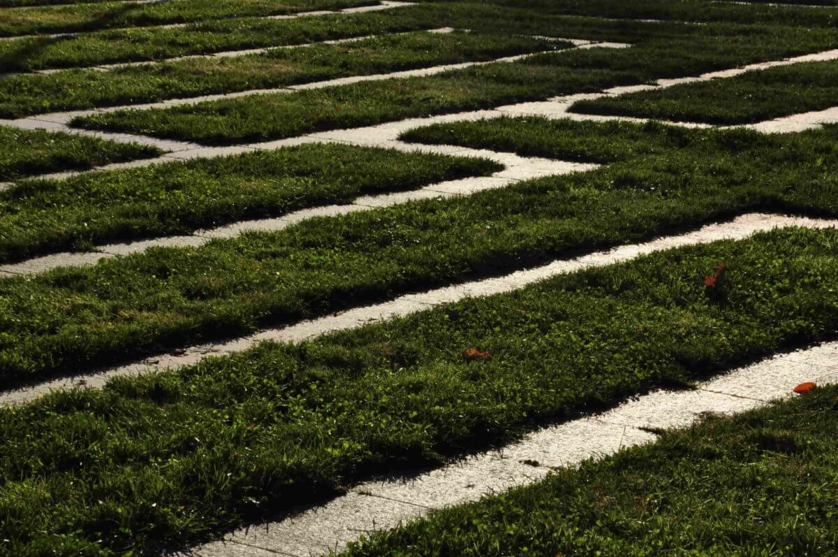 Marcin Wróblewski  Wiersze