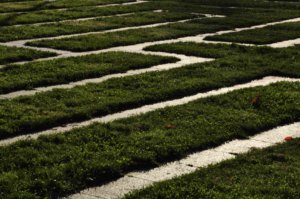 Poezja współczesna. Pismo literackie i wydawnictwo.