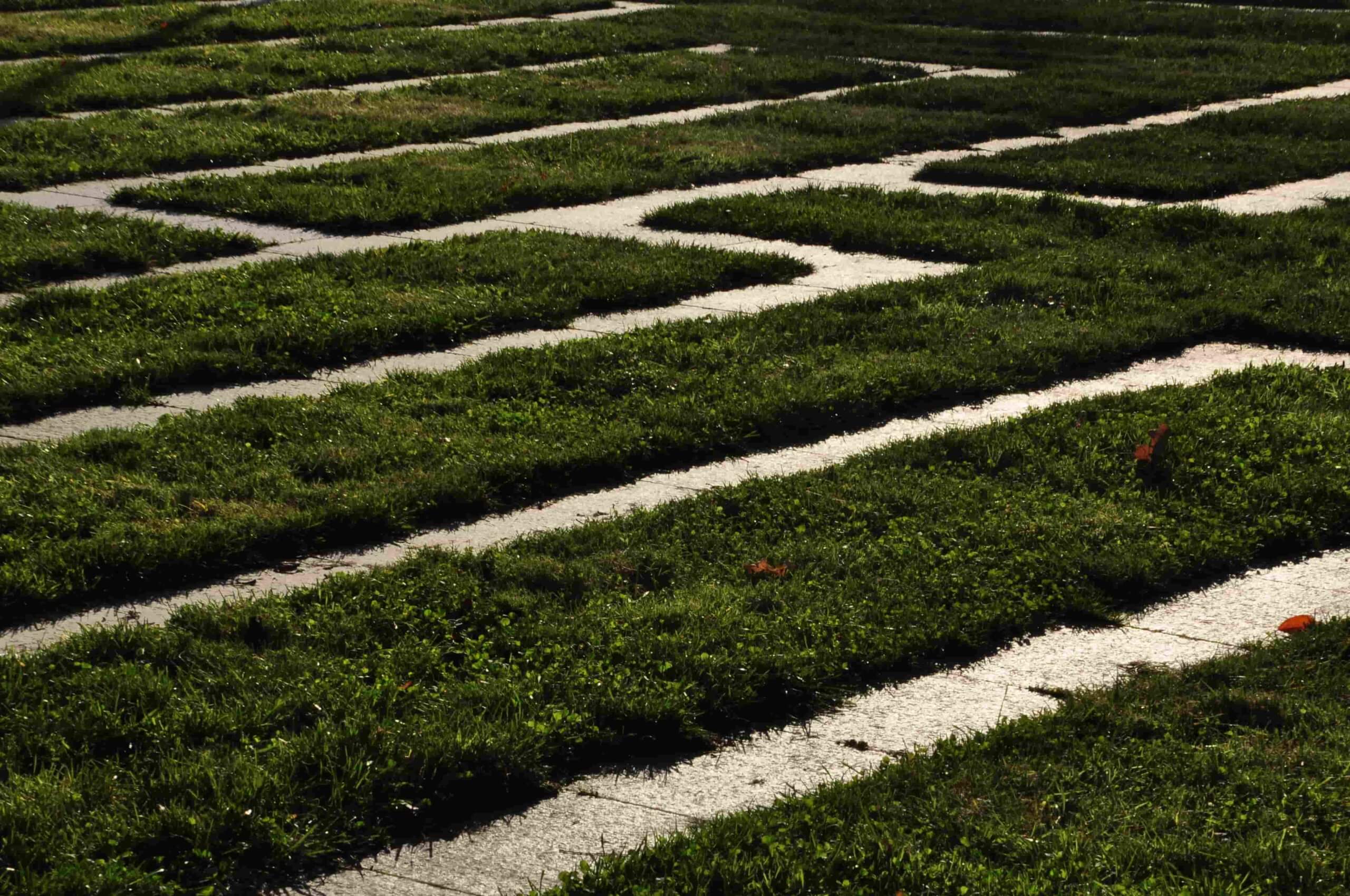 Poezja współczesna. Pismo literackie i wydawnictwo.