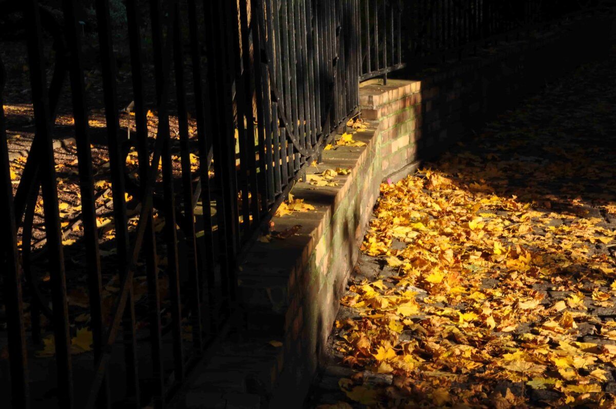 Aleksandra Karmelita  Wiersze