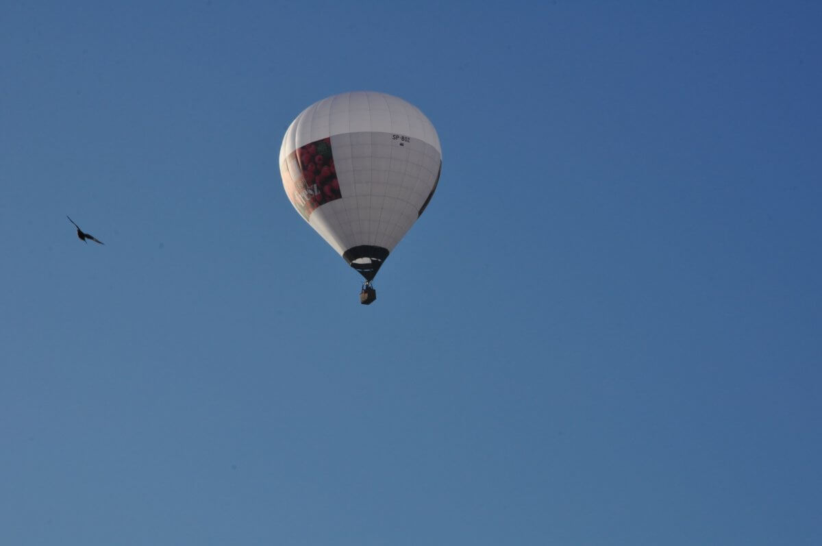 Przemysław Jaźwiński  Wiersze