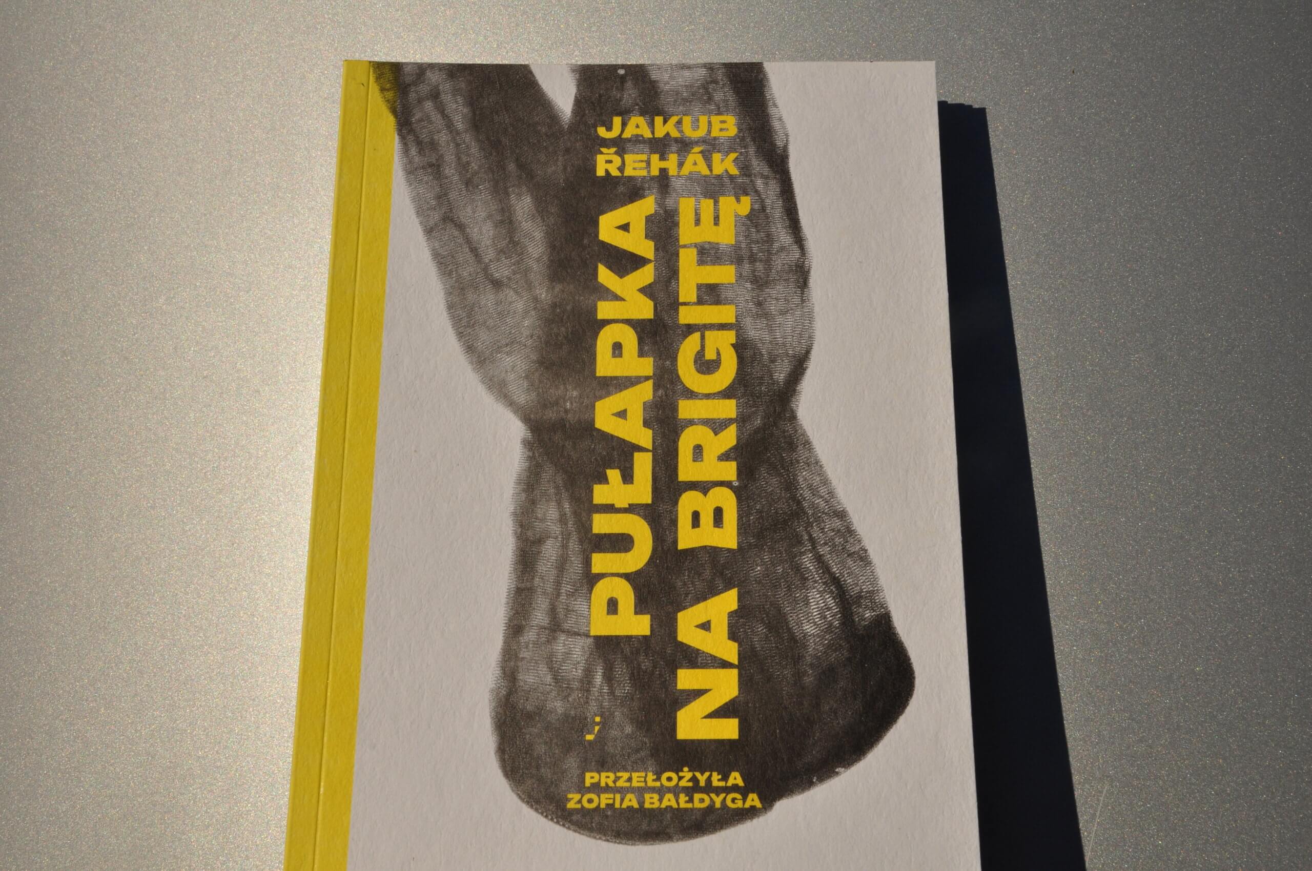 Jakub Řehák, Puałapka na Brigitę