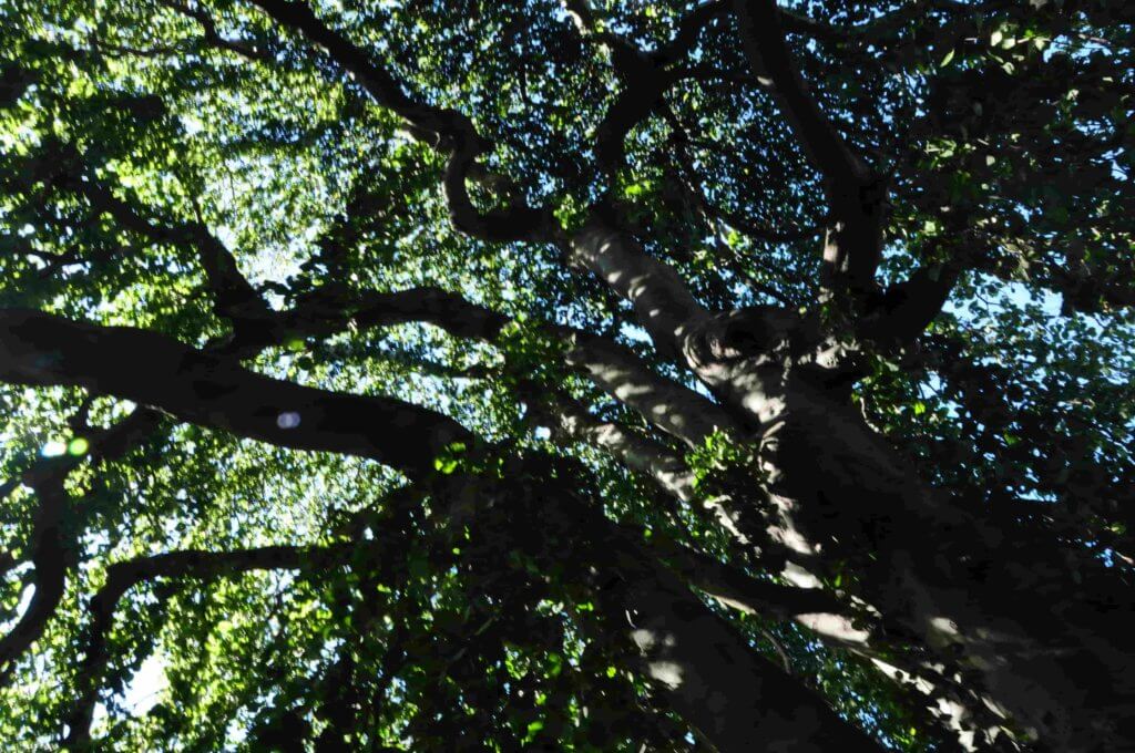 Poezja współczesna. Pismo literackie i wydawnictwo.