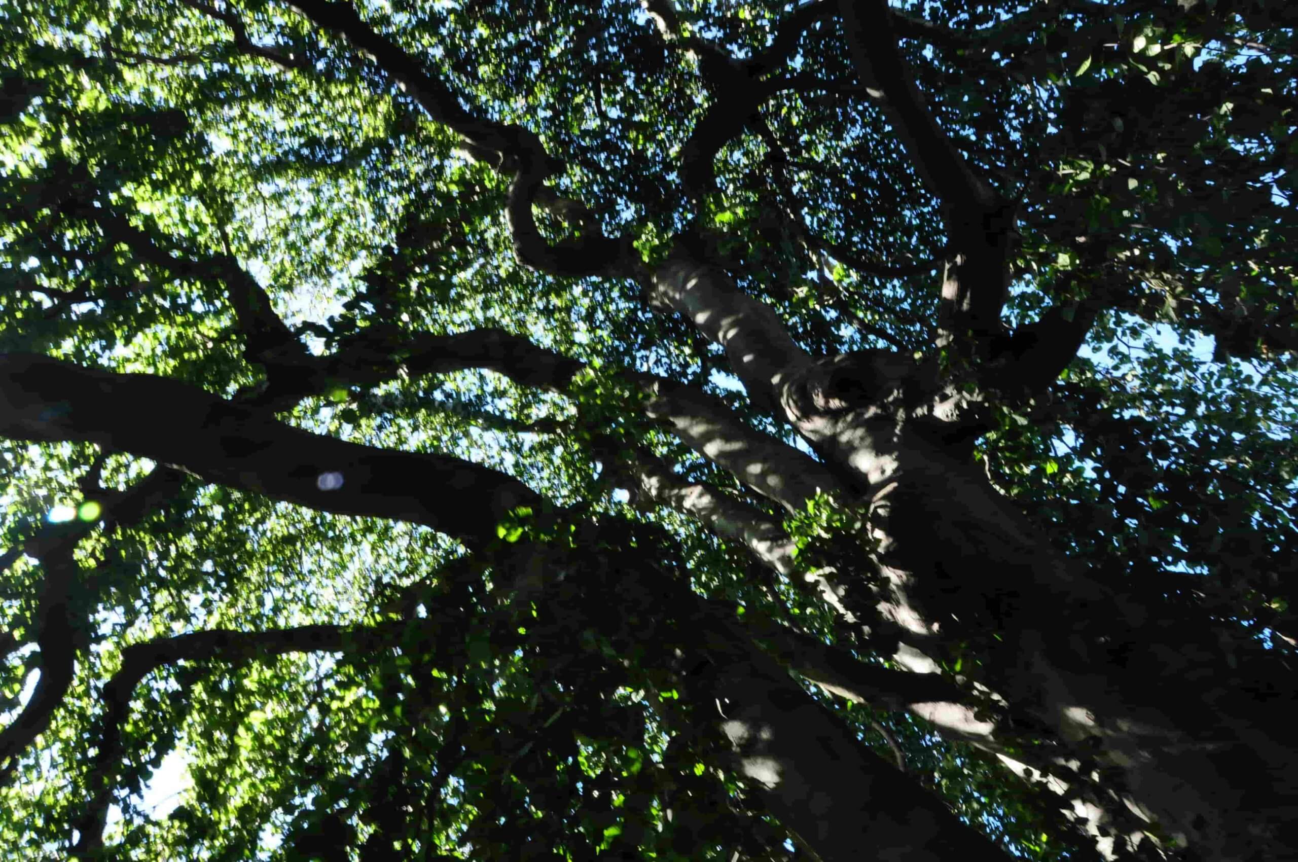 Poezja współczesna. Pismo literackie i wydawnictwo.
