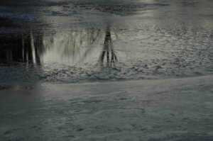 Poezja współczesna. Pismo literackie i wydawnictwo.