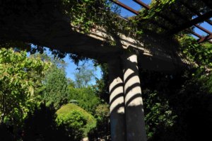 Poezja współczesna. Pismo literackie i wydawnictwo.