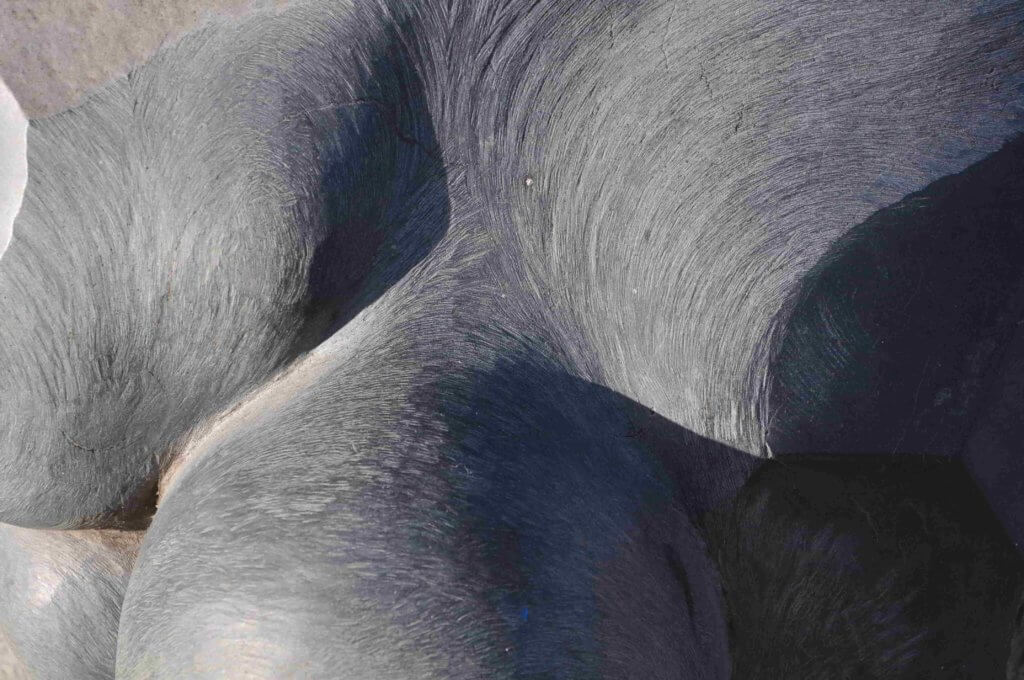 Poezja współczesna. Pismo literackie i wydawnictwo.