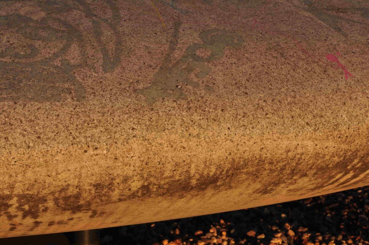 Weronika Wiśniewska  Wiersze