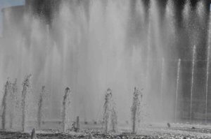 Poezja współczesna. Pismo literackie i wydawnictwo.