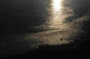 Poezja współczesna. Pismo literackie i wydawnictwo.